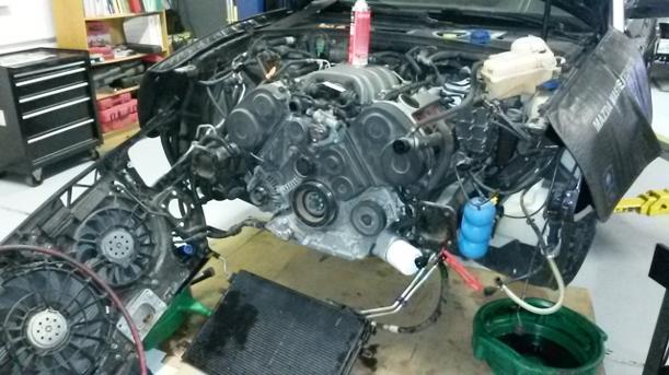 05 AUDI A4 Timing Belt Job Have You done Your's Yet